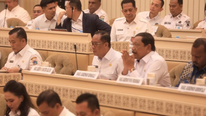 Wagub Sumsel Cik Ujang saat di RDP Komisi II DPR.