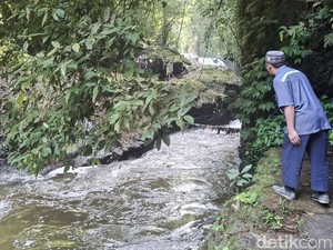Aliran Sungai dari Lembang ke Kota Bandung Tercemar Kotoran Ternak