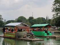 Hidden Gem Bogor Favorit Turis Arab