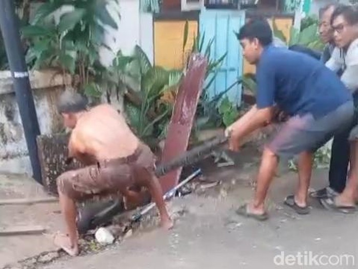 Evakuasi ular di Tuban