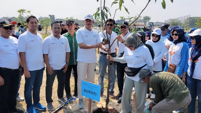 Kegiatan penanaman pohon saat Hari Buruh di Lamongan.