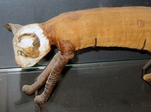 Kucing Modern Disebut Berasal dari Ritual Mesir Kuno