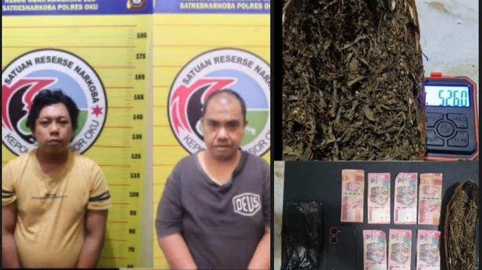 Pengedar dan bandar narkotika jenis ganja di OKU diamankan polisi