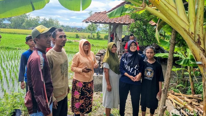 Pohon pisang unik bertandan enam di Ponorogo
