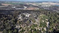 Cuaca panas disertai angin kencang mempersulit upaya pemadaman kebakaran hutan di sekitar Latrun, yang mulai terjadi sejak siang hari.  