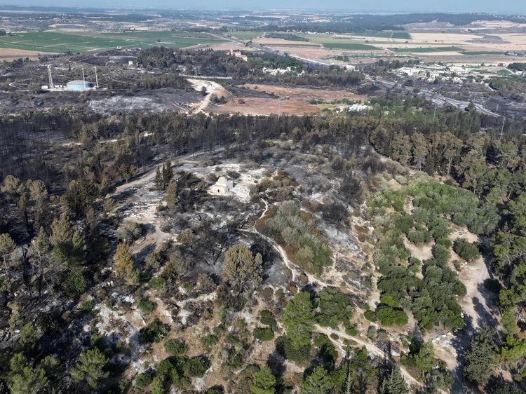 Asap Membumbung di Dekat Biara Latrun Akibat Kebakaran Hutan