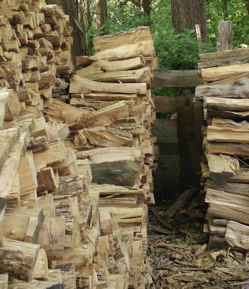 Kalau kamu berhasil menemukan kucing-kucing yang sedang berkamuflase berikut, artinya kamu punya mata yang jeli banget. Coba mana yang paling susah?