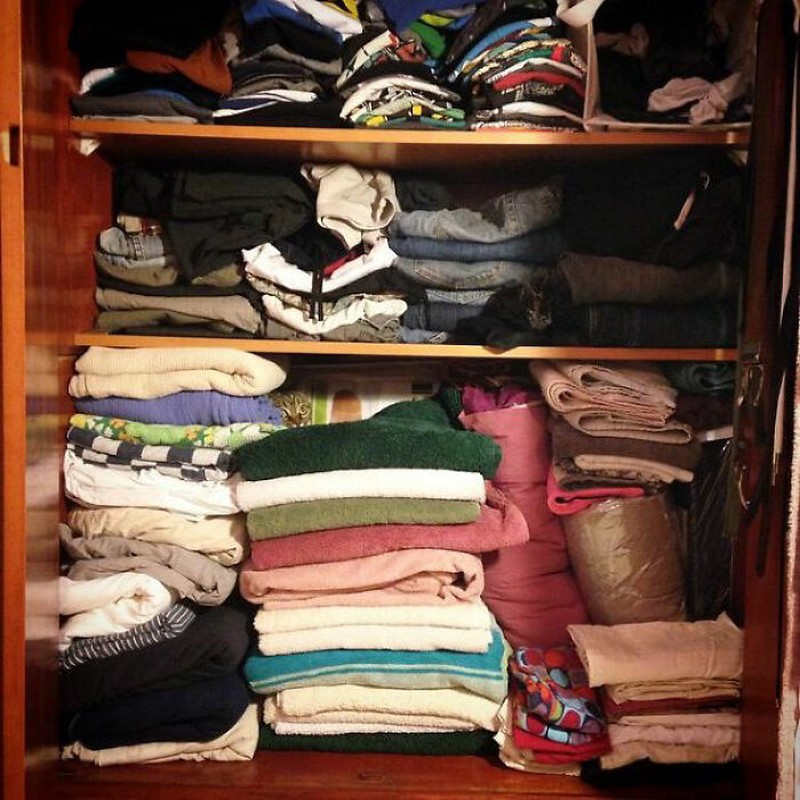 Kalau kamu berhasil menemukan kucing-kucing yang sedang berkamuflase berikut, artinya kamu punya mata yang jeli banget. Coba mana yang paling susah?