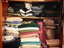 Bisa Cari Kucing-kucing yang Lagi Sembunyi Ini? Kalau Iya, Jeli Banget