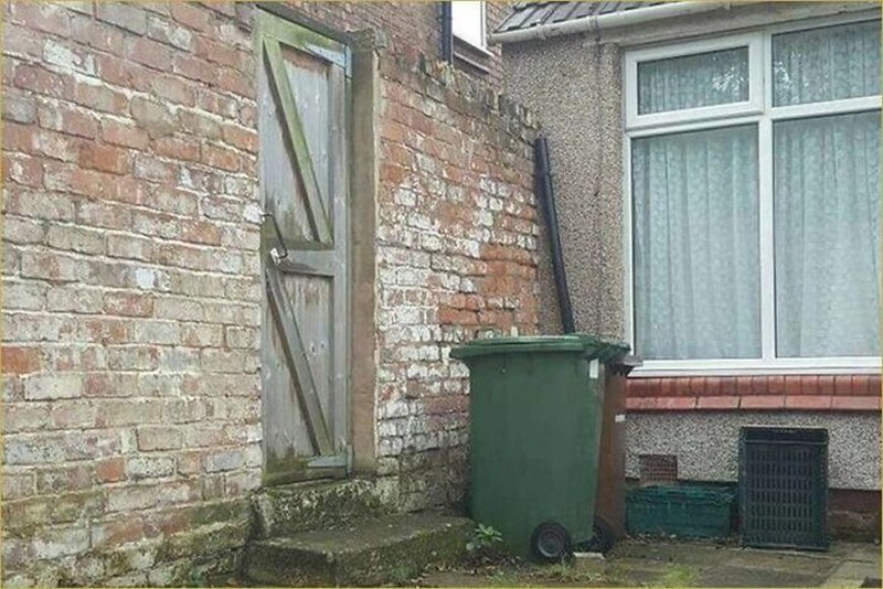 Kalau kamu berhasil menemukan kucing-kucing yang sedang berkamuflase berikut, artinya kamu punya mata yang jeli banget. Coba mana yang paling susah?