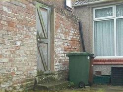 Bisa Cari Kucing-kucing yang Lagi Sembunyi Ini? Kalau Iya, Jeli Banget