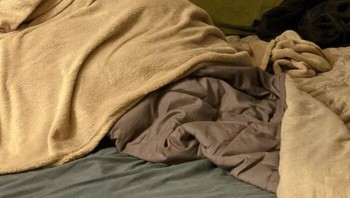 Apa tuh yang nongol di tengah-tengah selimut? Foto: Thereisnocat_ via Bored Panda