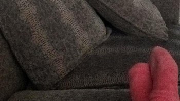 Aww, cute banget. Foto: Thereisnocat_ via Bored Panda