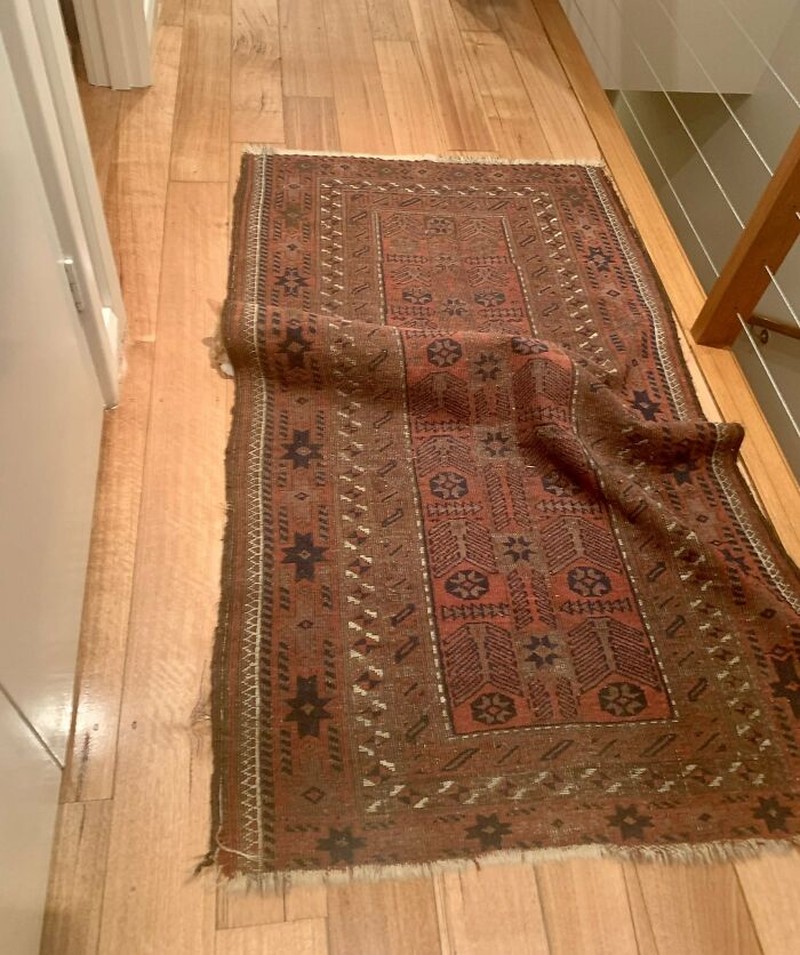 Kalau kamu berhasil menemukan kucing-kucing yang sedang berkamuflase berikut, artinya kamu punya mata yang jeli banget. Coba mana yang paling susah?