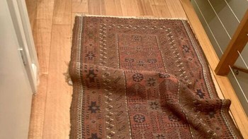 Awas keinjek. Foto: Thereisnocat_ via Bored Panda