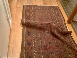 Bisa Cari Kucing-kucing yang Lagi Sembunyi Ini? Kalau Iya, Jeli Banget