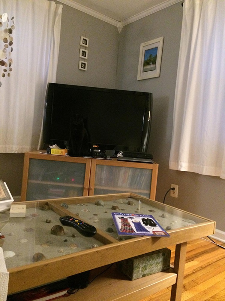 Kalau kamu berhasil menemukan kucing-kucing yang sedang berkamuflase berikut, artinya kamu punya mata yang jeli banget. Coba mana yang paling susah?