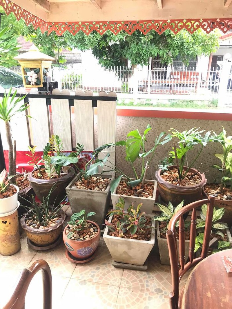 Kalau kamu berhasil menemukan kucing-kucing yang sedang berkamuflase berikut, artinya kamu punya mata yang jeli banget. Coba mana yang paling susah?