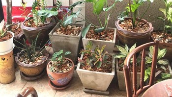 Nah loh, susah. Foto: Thereisnocat_ via Bored Panda