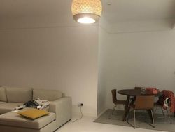 Bisa Cari Kucing-kucing yang Lagi Sembunyi Ini? Kalau Iya, Jeli Banget