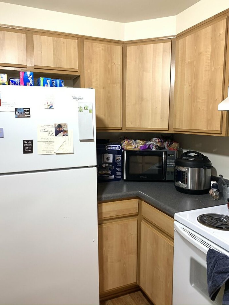 Kalau kamu berhasil menemukan kucing-kucing yang sedang berkamuflase berikut, artinya kamu punya mata yang jeli banget. Coba mana yang paling susah?