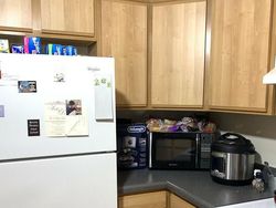 Bisa Cari Kucing-kucing yang Lagi Sembunyi Ini? Kalau Iya, Jeli Banget