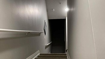 Butuh waktu lumayan lama untuk mengetahui posisi kucing tersebut ngumpet. Foto: Thereisnocat_ via Bored Panda