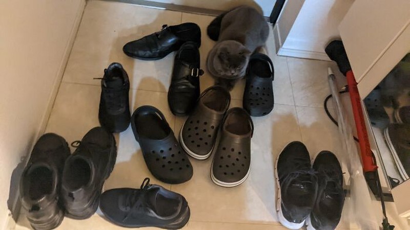 Kalau kamu berhasil menemukan kucing-kucing yang sedang berkamuflase berikut, artinya kamu punya mata yang jeli banget. Coba mana yang paling susah?