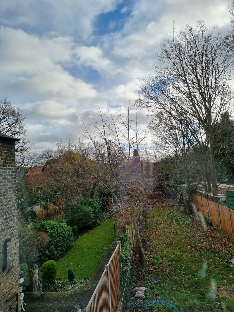 Kalau kamu berhasil menemukan kucing-kucing yang sedang berkamuflase berikut, artinya kamu punya mata yang jeli banget. Coba mana yang paling susah?