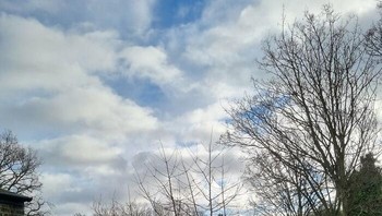 Dikasih tahu aja deh, kucingnya ada di bagian paling bawah di sisi kiri gerbang. Foto: Thereisnocat_ via Bored Panda