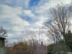 Bisa Cari Kucing-kucing yang Lagi Sembunyi Ini? Kalau Iya, Jeli Banget