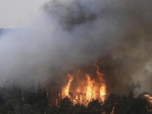 Dunia Hari Ini: Israel Berlakukan Keadaan Darurat Akibat Kebakaran Hutan