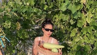 Ini momen lain dari hobi berkebun yang ditekuni Eriska. Ia kerap memanen sayuran itu dan dimasak langsung untuk santapan siangnya. Foto: Instagram @eriskanakesya