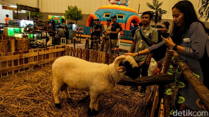 Pengunjung beraktivitas dalam pameran Pet Fest 2025 di ICE BSD, Tangerang, Jumat (2/5/2025).