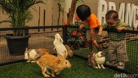 Anak-anak tampak senang melihat dan menyentuh kelinci di pameran.