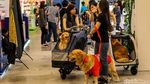 Intip Keseruan Pameran Hewan Peliharaan di BSD, Bakal Ada Bobby Kertanegara