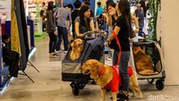 Para pecinta hewan peliharaan berbondong-bondong mendatangi pameran bertajuk Pet Fest 2025 di BSD, mereka tampak turut membawa hewan peliharaannya.