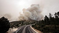 Kebakaran terjadi akibat panas ekstrem dan angin kencang. Lebih dari 20 kilometer persegi lahan hangus terbakar. (Foto: REUTERS/Jamal Awad)