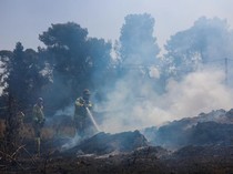 Video Israel Klaim Sukses Jinakkan Kebakaran Hutan