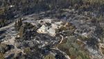 Kebakaran Hutan Hanguskan Wilayah Israel