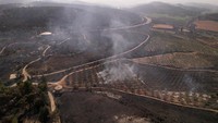 Pemandangan dari drone menunjukkan asap mengepul di dekat Latrun, sehari setelah kebakaran hutan terjadi karena panas dan angin ekstrem, di Israel tengah, Kamis (1/5/2025). REUTERS/Ammar Awad