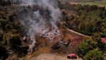 Kebakaran Hutan Hanguskan Wilayah Israel