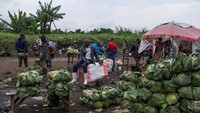 Perempuan ini menjadi simbol ketangguhan warga Kibumba dalam memulai kembali kehidupan usai konflik antara M23 dan tentara Kongo.  