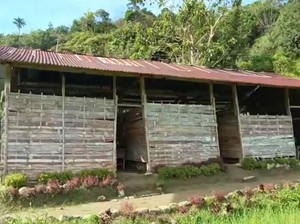 Memprihatinkan! Siswa SMP Negeri 6 di Mamasa Belajar di Gubuk Kayu