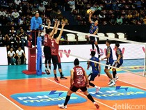 Comeback Jakarta LavAni Livin Transmedia Kalahkan Surabaya Samator