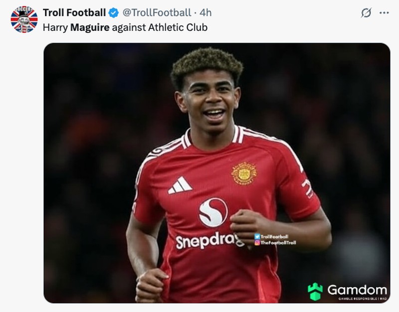 Meme Harry Maquire Jadi Harrydinho