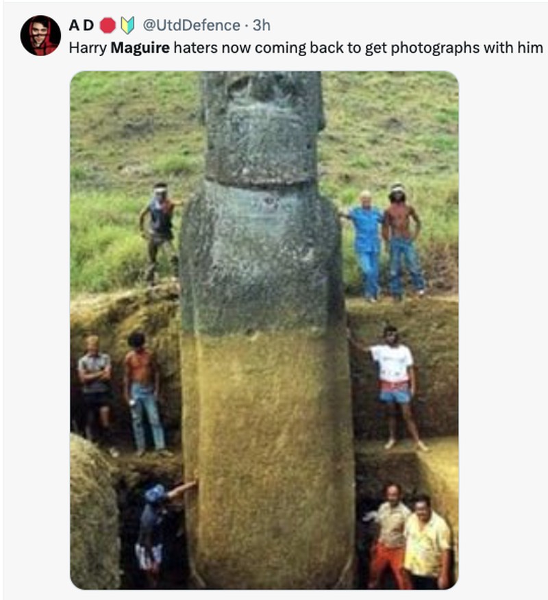 Meme Harry Maquire Jadi Harrydinho