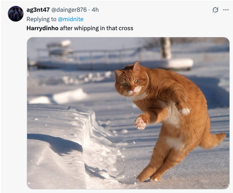 Meme Harry Maquire Jadi Harrydinho