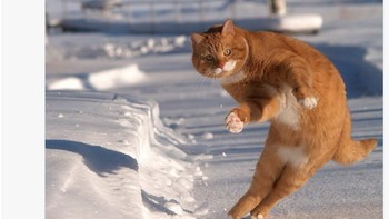 Ini bukan kali pertama Maguire menjadi bahan meme. Sebelumnya, ia sering jadi sasaran ejekan karena blunder atau gol bunuh diri, seperti saat MU kalah dari Tottenham pada 2022. Saat itu, netizen membuat meme dengan caption, Maguire is the imposter, mengacu pada kesalahannya yang merugikan tim. Namun, kini Maguire seolah membalikkan narasi. Dari bahan ledekan, ia kini jadi pahlawan di media sosial berkat aksi tak terduga ini. Foto: X.com