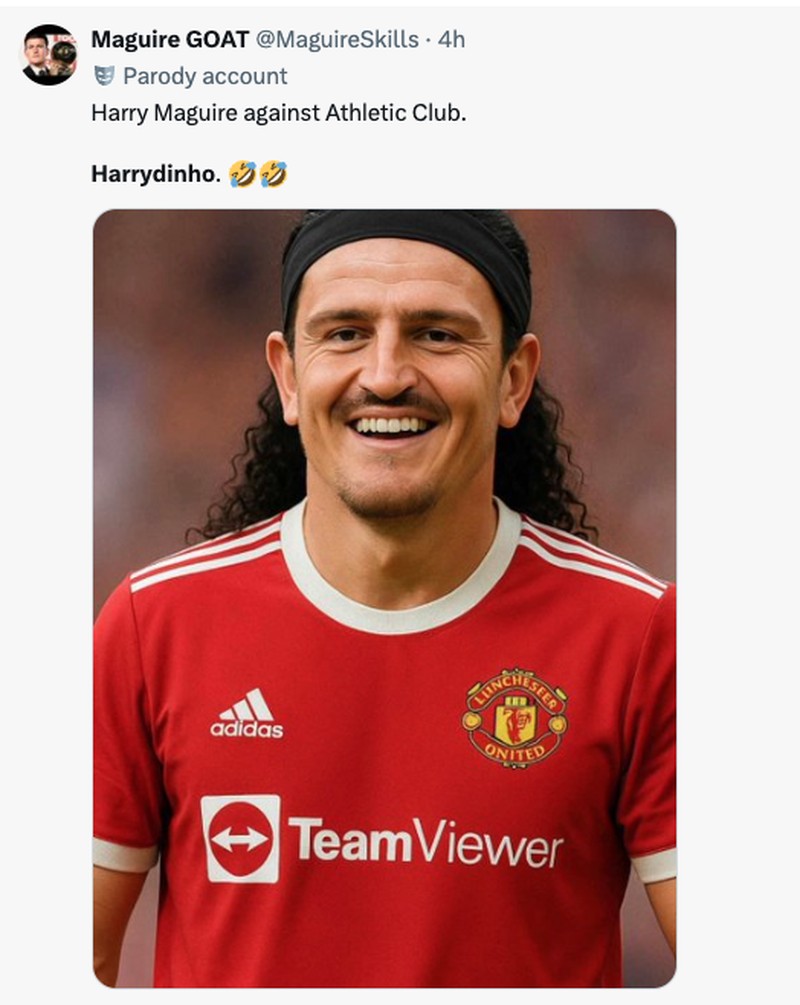 Meme Harry Maquire Jadi Harrydinho